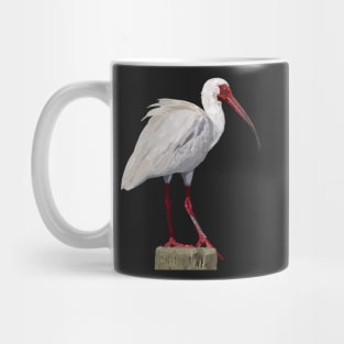 White ibis Mug